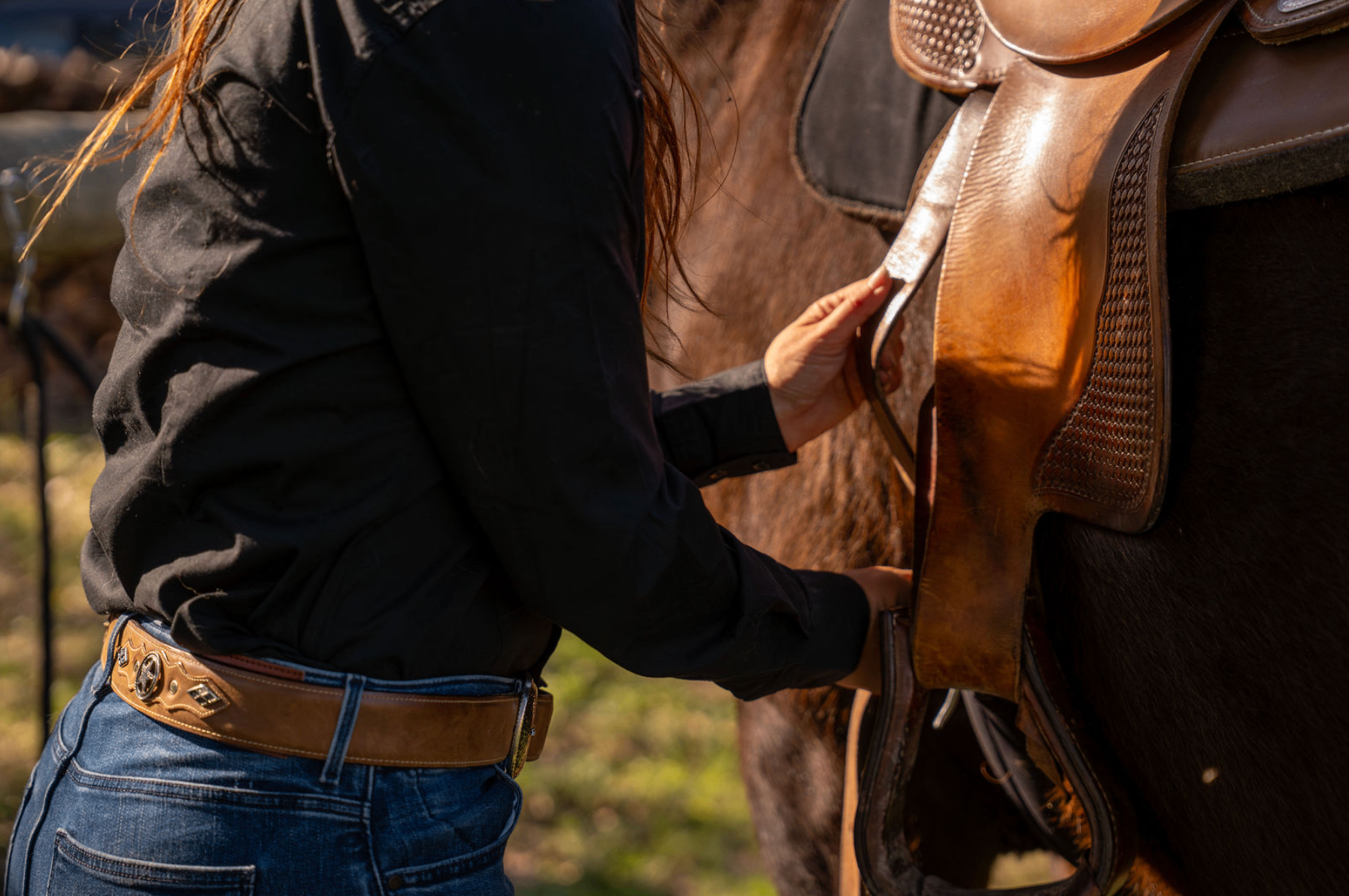 Travail à pied avec un jeune cheval