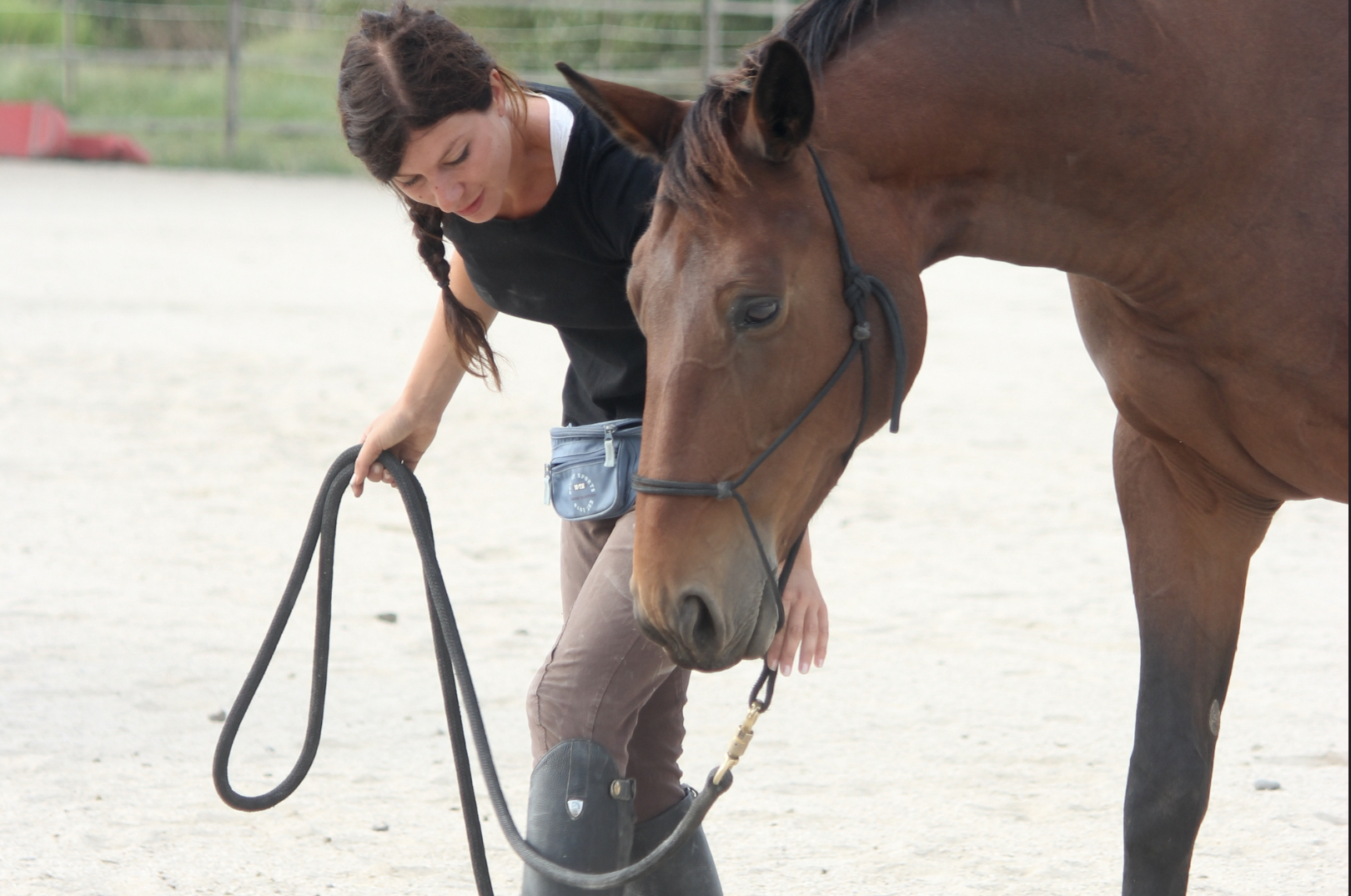 Travail à pied avec un cheval