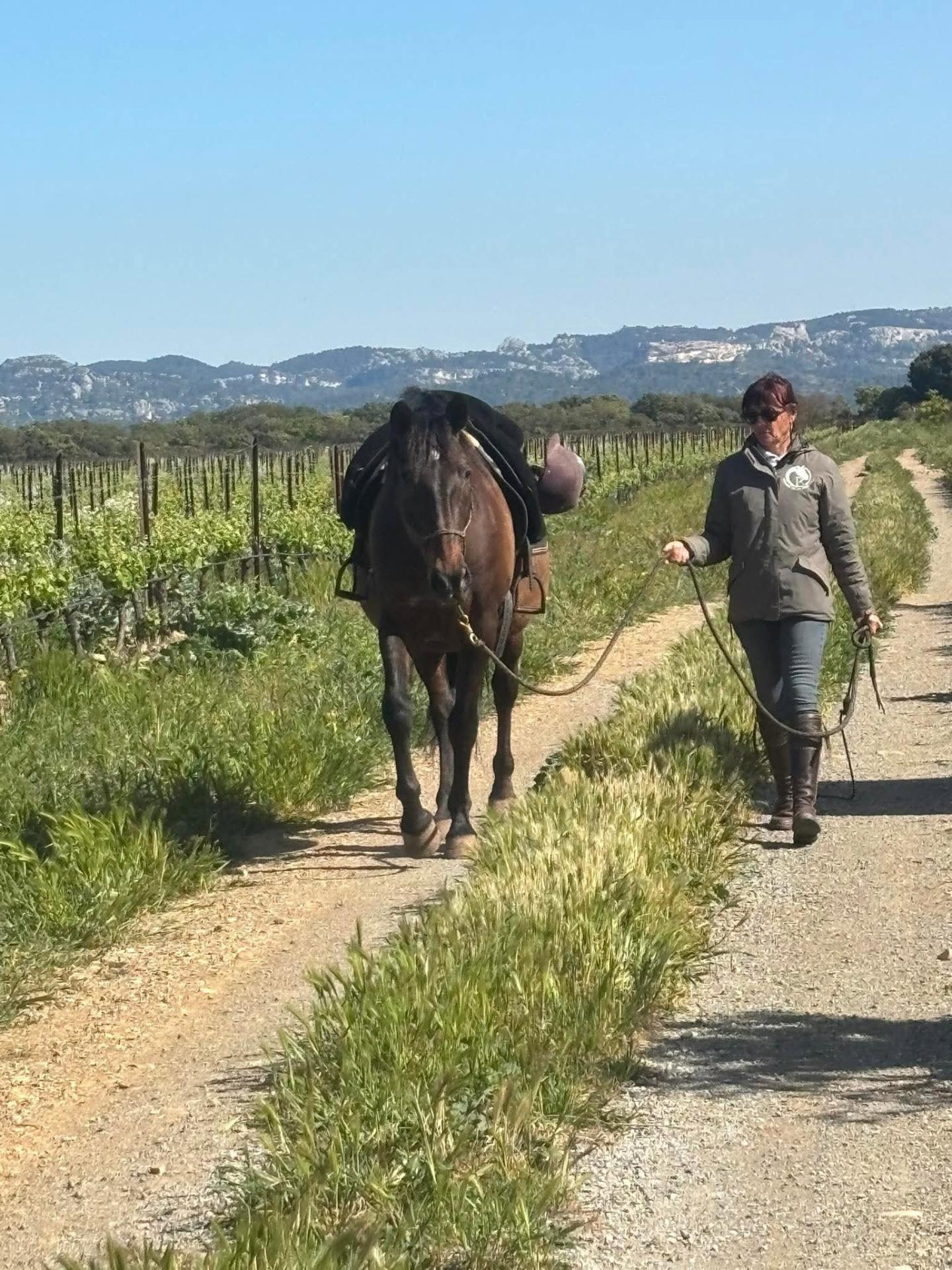 Céline, Guapo et Boléro