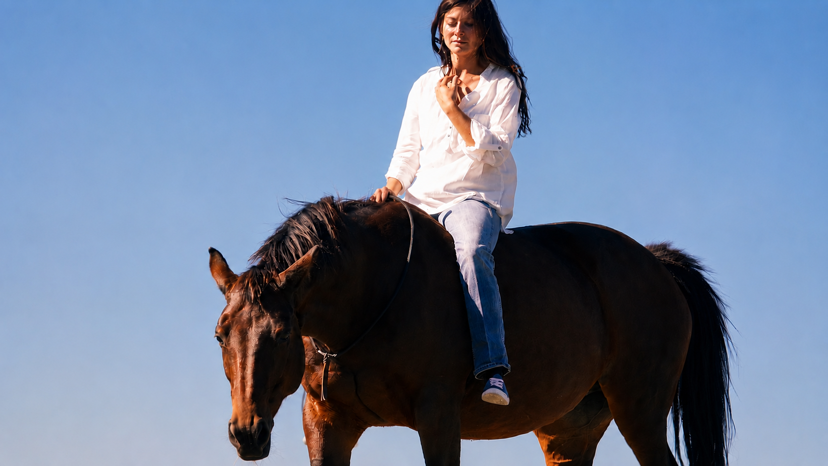 Cavalière en confiance sur son cheval, tête du cheval et cavalier visibles