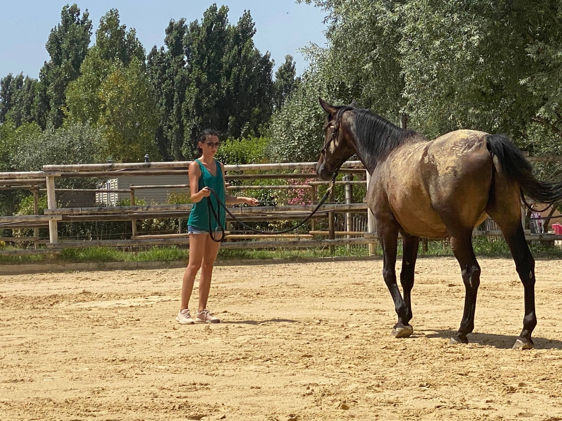 Estelle et Destin dans un paddock