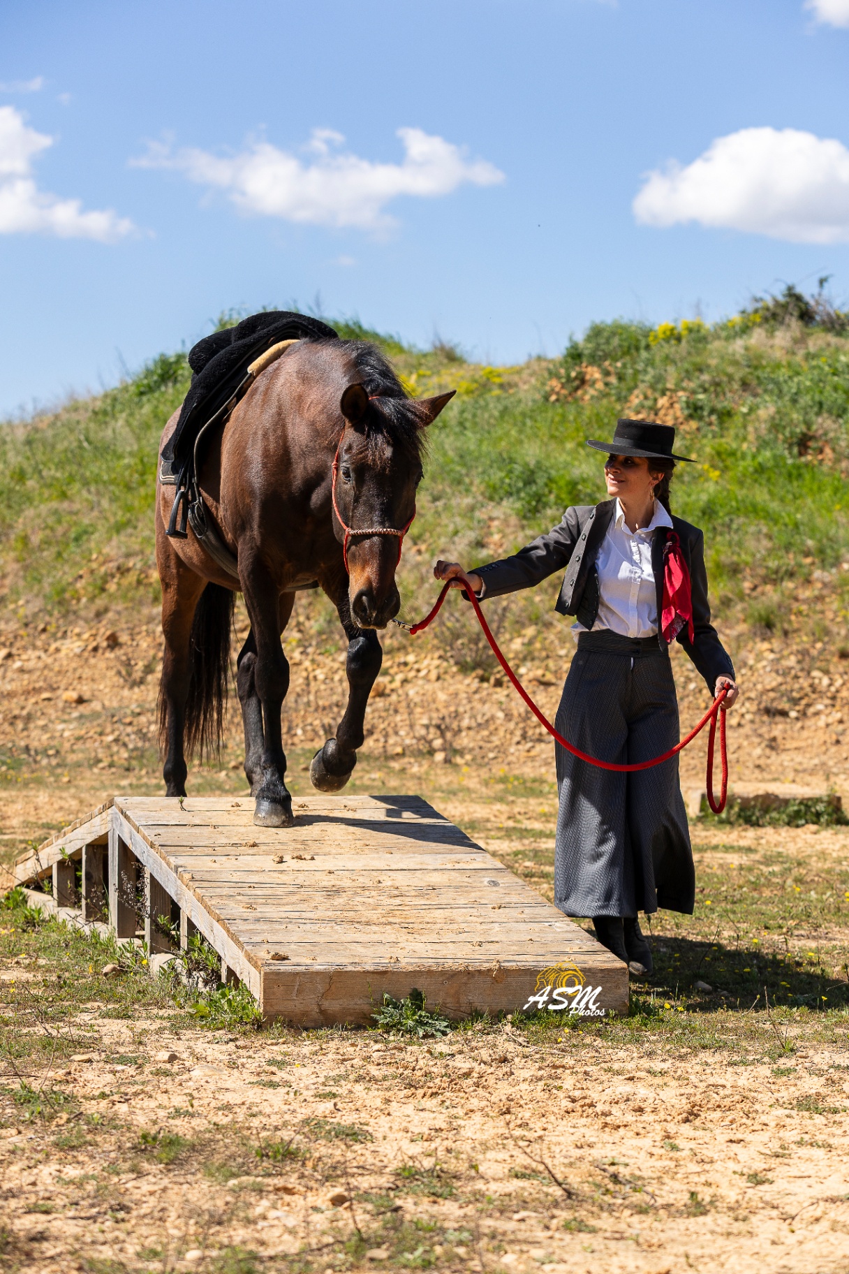 Elodie accompagne un cheval sur une passerelle en Mountain Trail