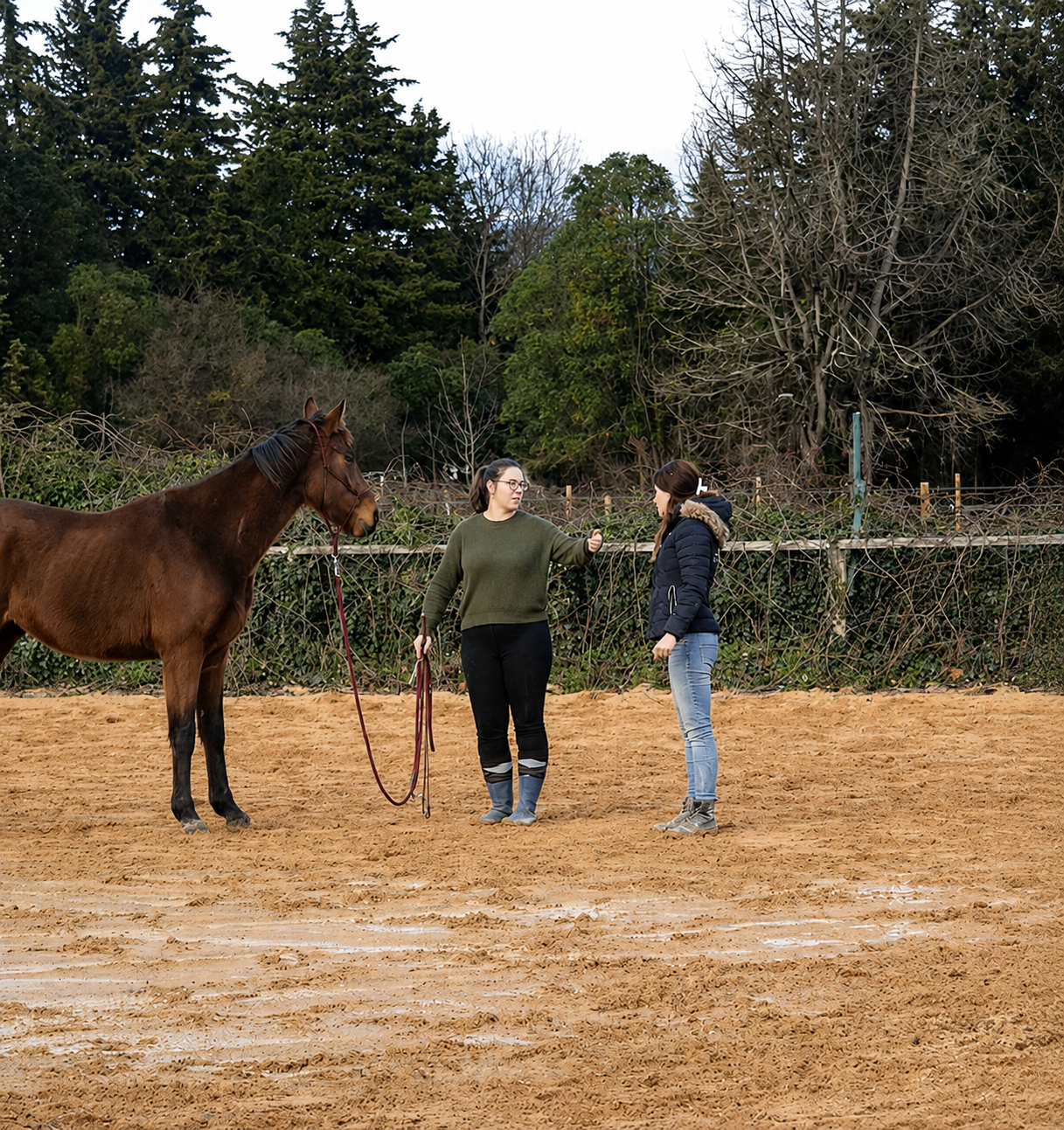 Élodie accompagne une cavalière avec son cheval