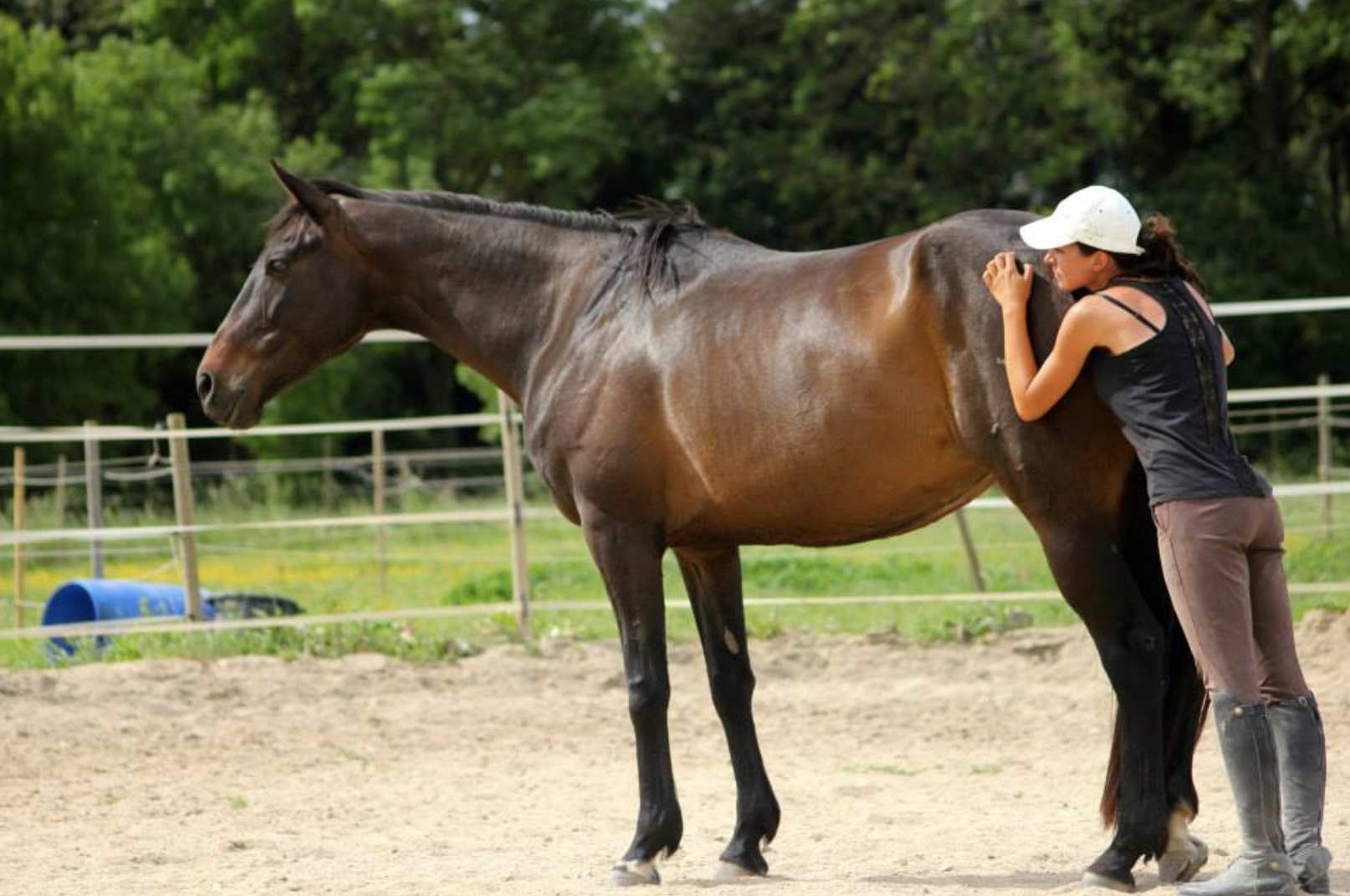Moment de complicité avec un cheval