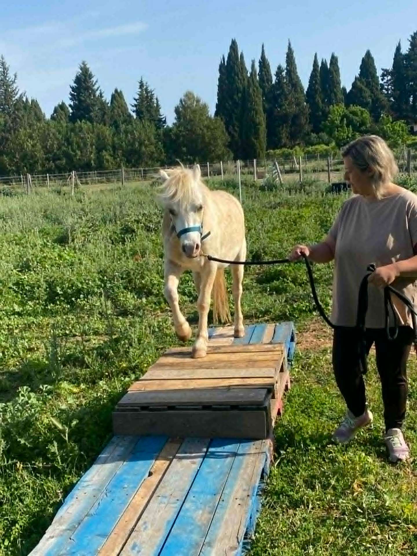 Chloé et Nectar