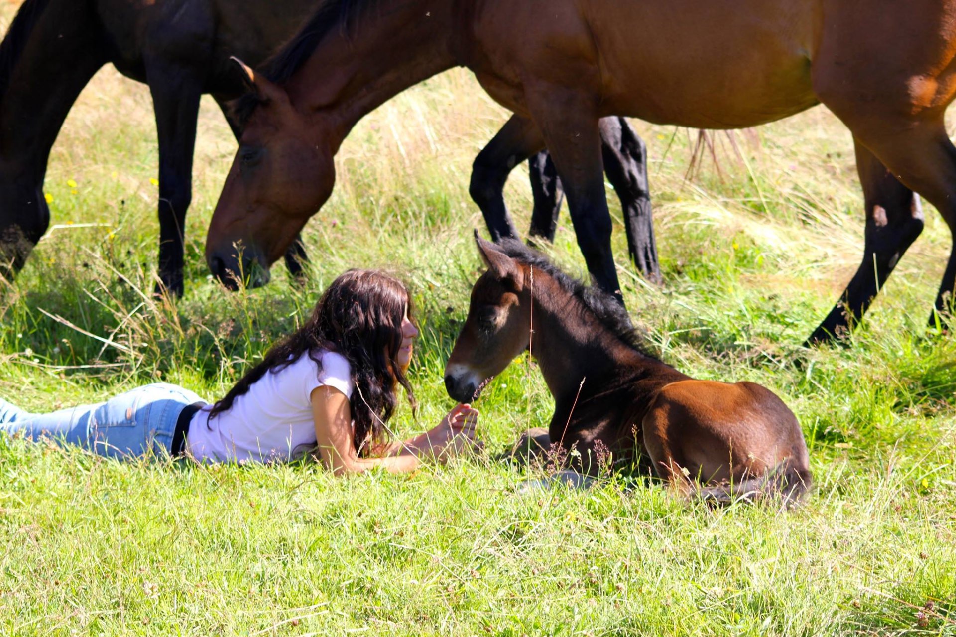 Élodie au pré avec une jument et son poulain