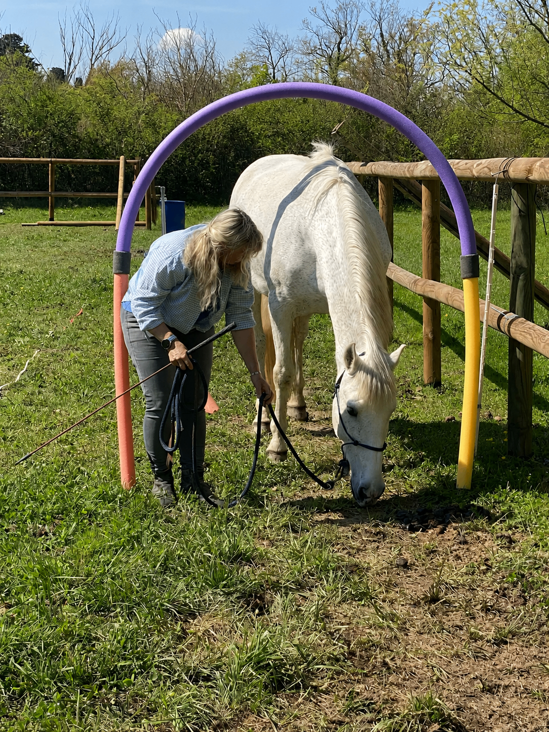Magali et Sultan sous une arche colorée, en séance à pied