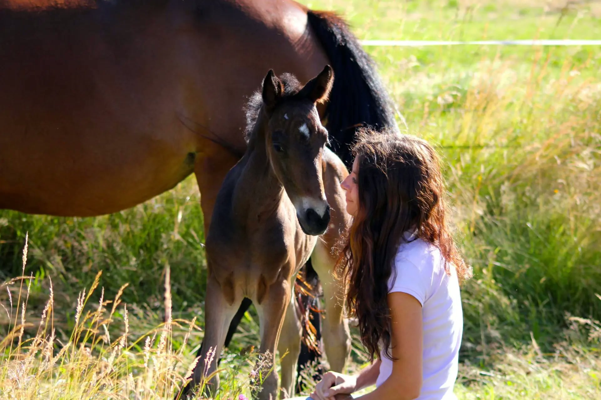 Élodie auprès de son poulain dans un pré ensoleillé
