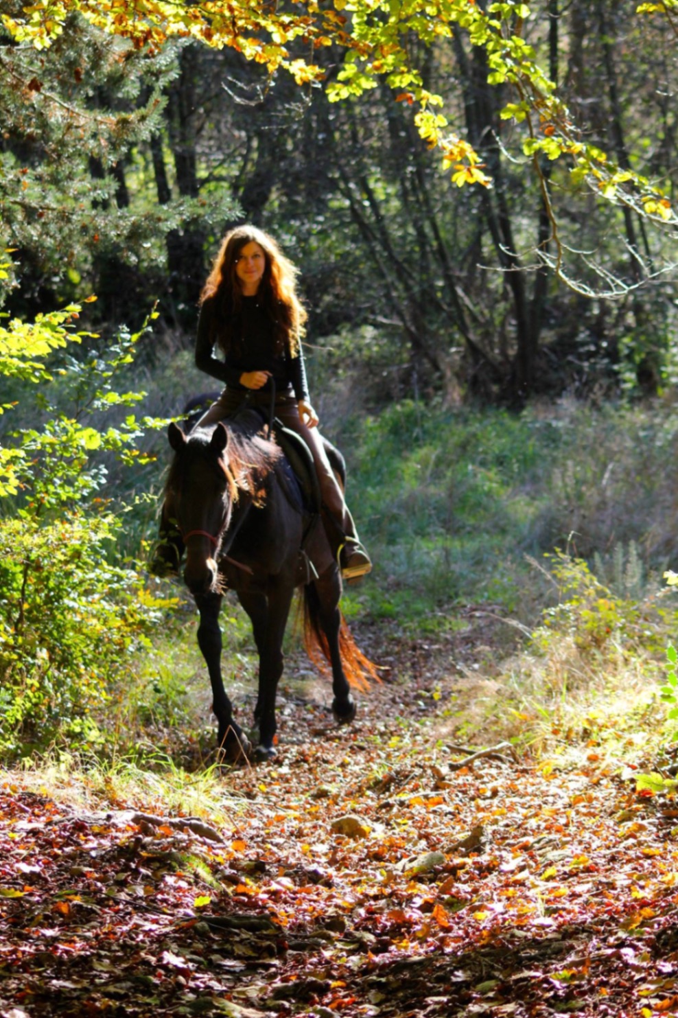 Balade en forêt à cheval