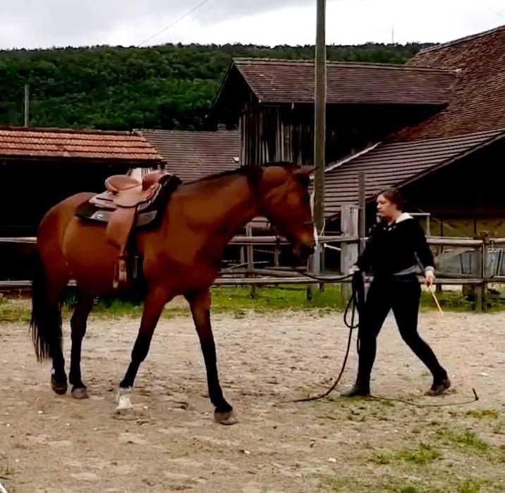 Rachel et Cassandra