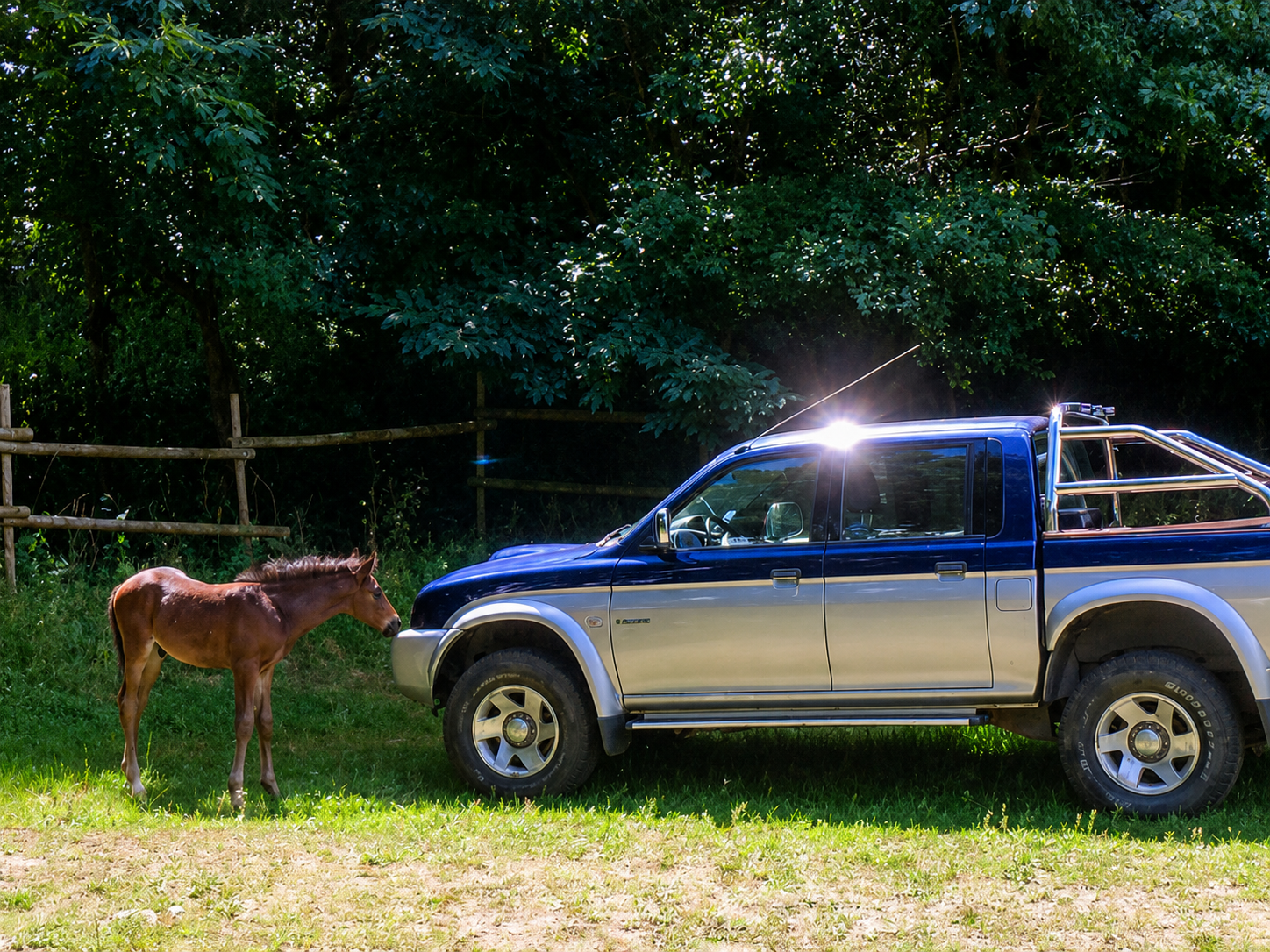 Guevara observe le pick-up