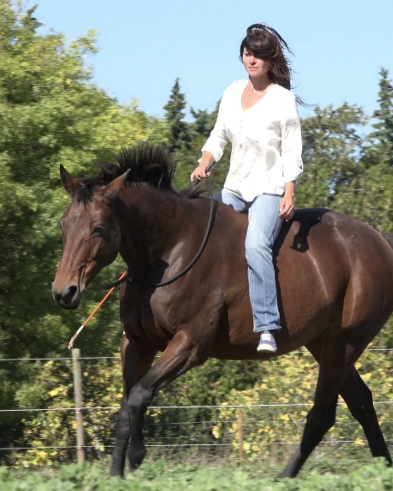 Formation Connexion avec Élodie Marchois